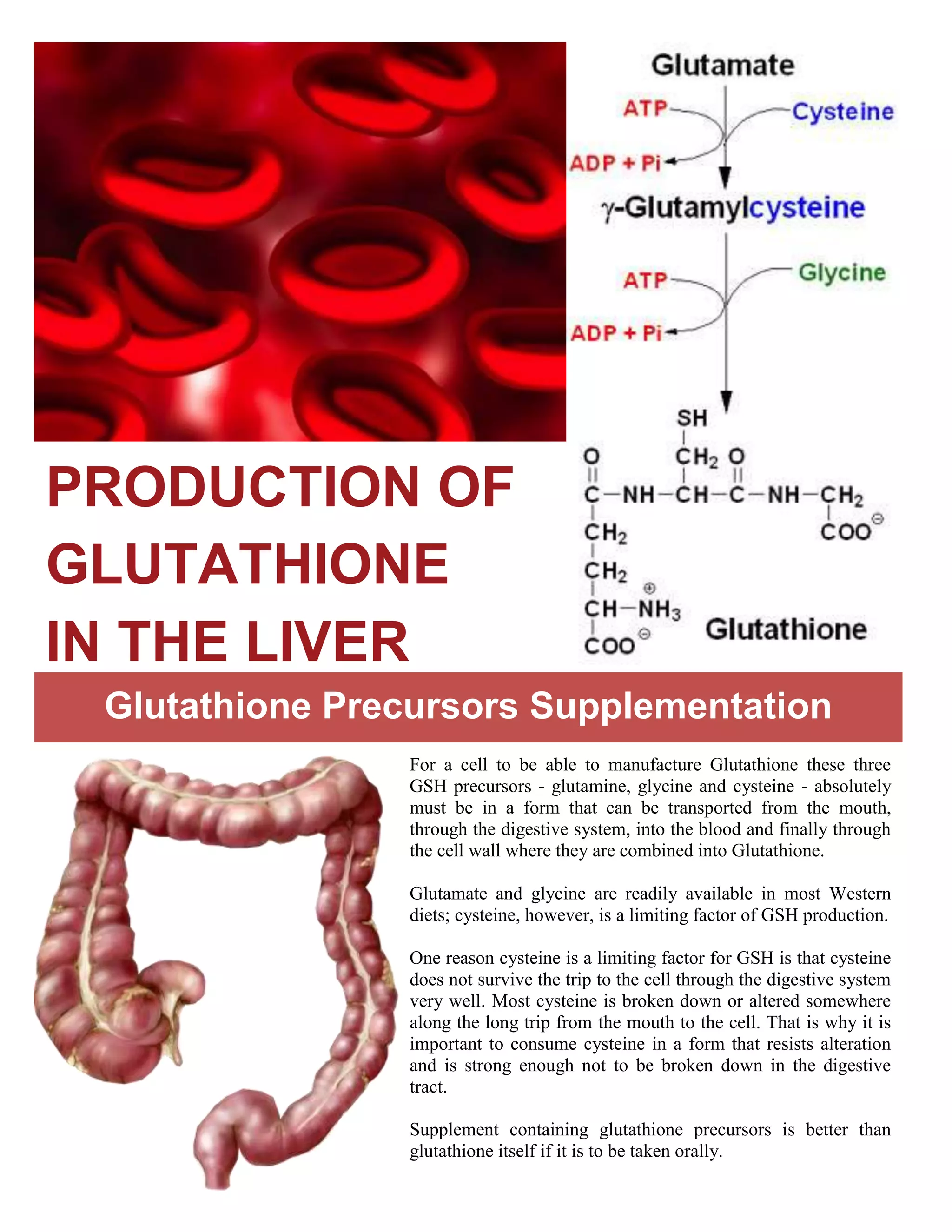 glutathione slideshare Glutathione English