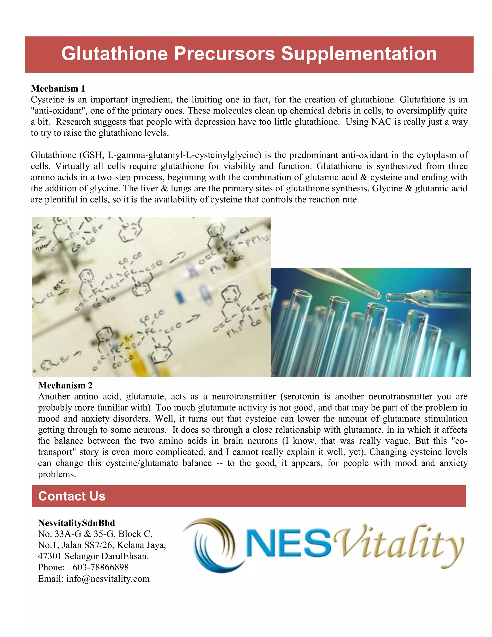 glutathione or its precursors English 2025 Adjustment Complete