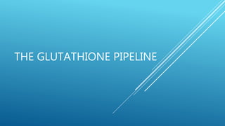 THE GLUTATHIONE PIPELINE
 