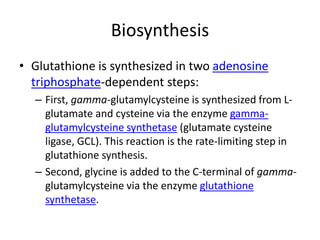 biosynthesis of glutathione Glutathione: A small molecule with big sense main image 1