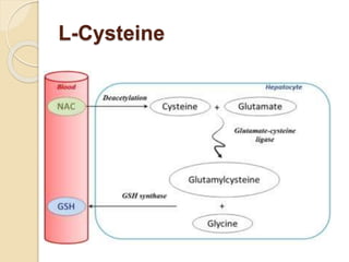 glutathione slideshare Glutathione Study main image 1