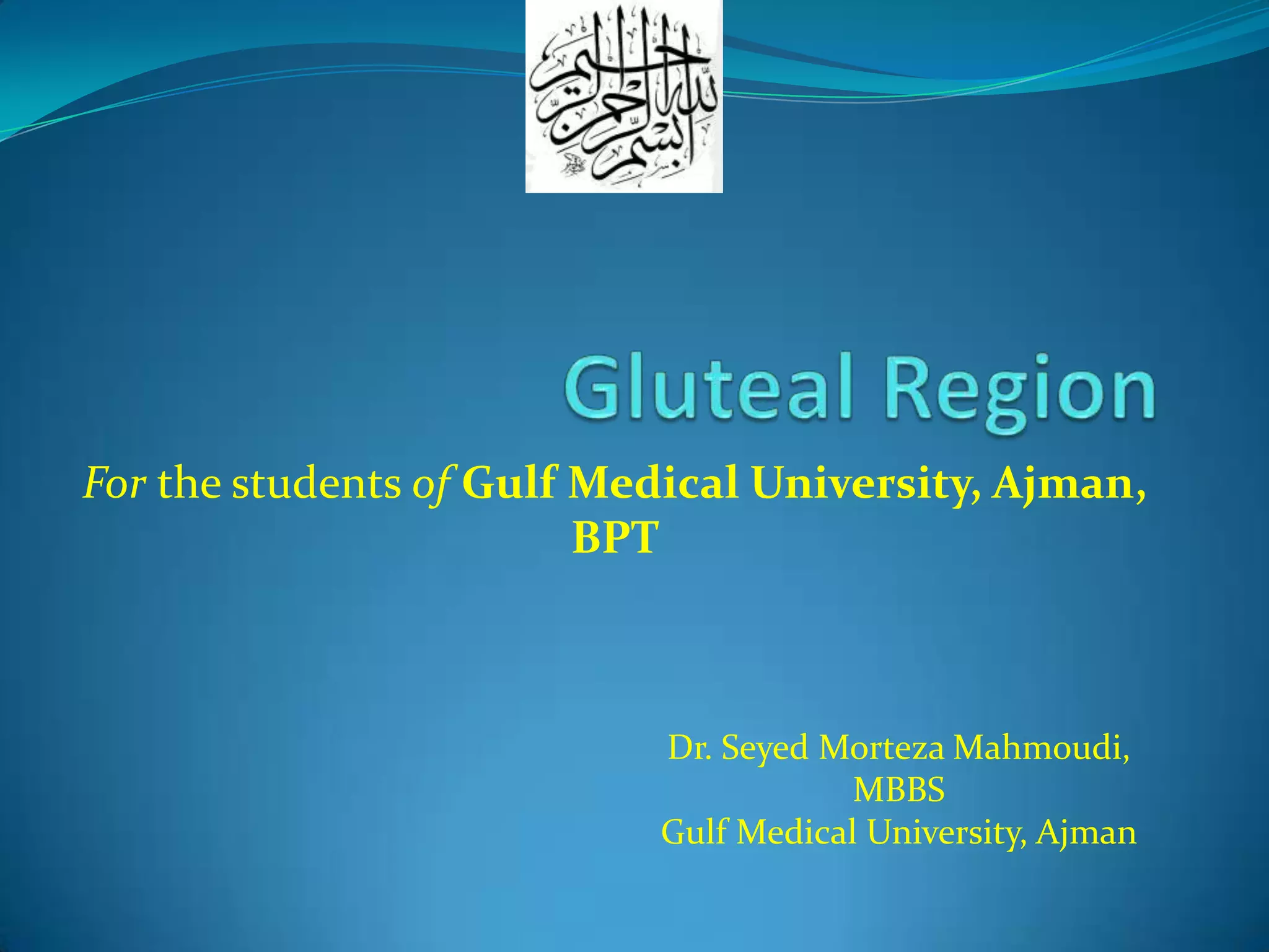 Gluteal Cleft Anatomy 93 - 85mv4sb