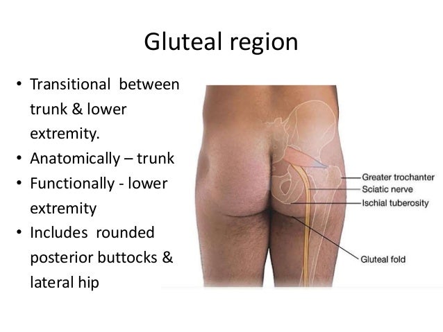 Medical Pictures Info – Skin Abscess