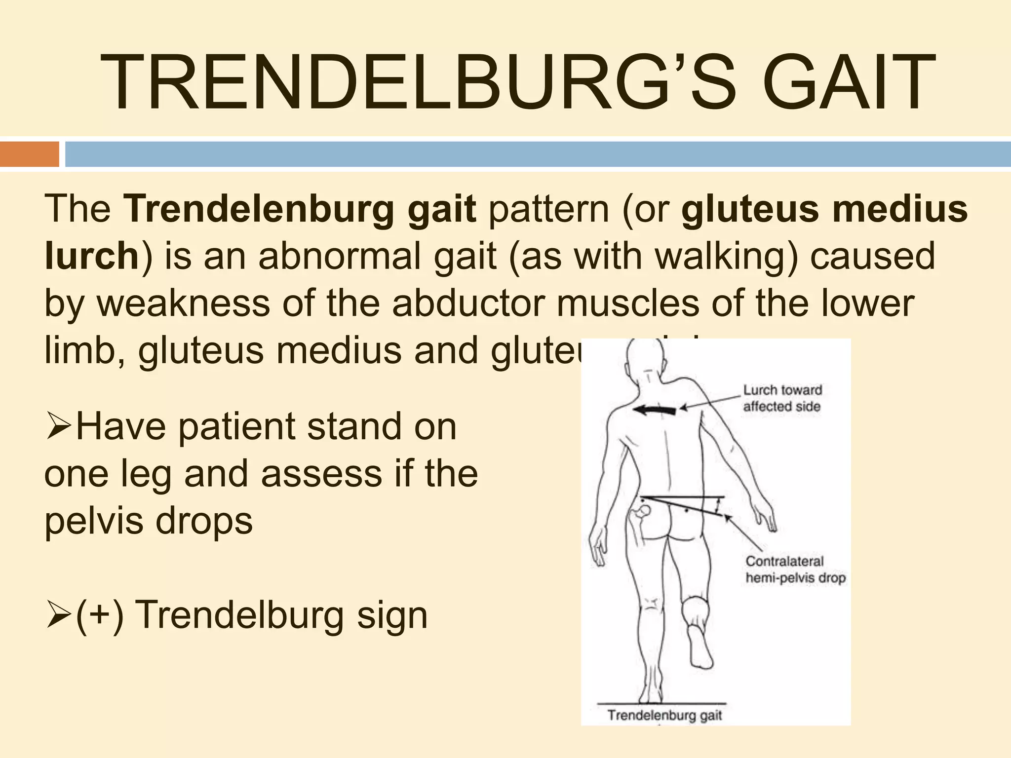 TRENDELBURG’S GAIT
The Trendelenburg gait pattern (or gluteus medius
lurch) is an abnormal gait (as with walking) caused
by weakness of the abductor muscles of the lower
limb, gluteus medius and gluteus minimus
Have patient stand on
one leg and assess if the
pelvis drops
(+) Trendelburg sign
 