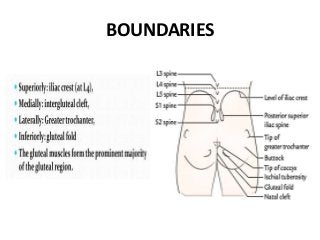 BOUNDARIES
 