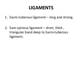 LIGAMENTS
1. Sacro-tuberous ligament – long and strong.
2. Saro-spinous ligament – short, thick ,
triangular band deep to Sacro-tuberous
ligament.
 