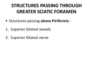 STRUCTURES PASSING THROUGH
GREATER SCIATIC FORAMEN
 Structures passing above Piriformis :
1. Superior Gluteal vessels
2. Superior Gluteal nerve
 