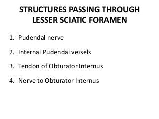 STRUCTURES PASSING THROUGH
LESSER SCIATIC FORAMEN
1. Pudendal nerve
2. Internal Pudendal vessels
3. Tendon of Obturator Internus
4. Nerve to Obturator Internus
 