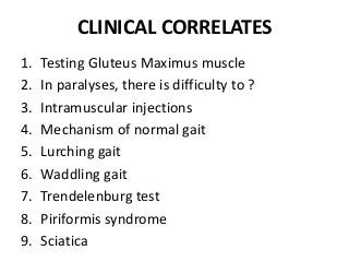 CLINICAL CORRELATES
1. Testing Gluteus Maximus muscle
2. In paralyses, there is difficulty to ?
3. Intramuscular injections
4. Mechanism of normal gait
5. Lurching gait
6. Waddling gait
7. Trendelenburg test
8. Piriformis syndrome
9. Sciatica
 