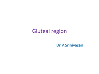 Gluteal region
Dr V Srinivasan
 