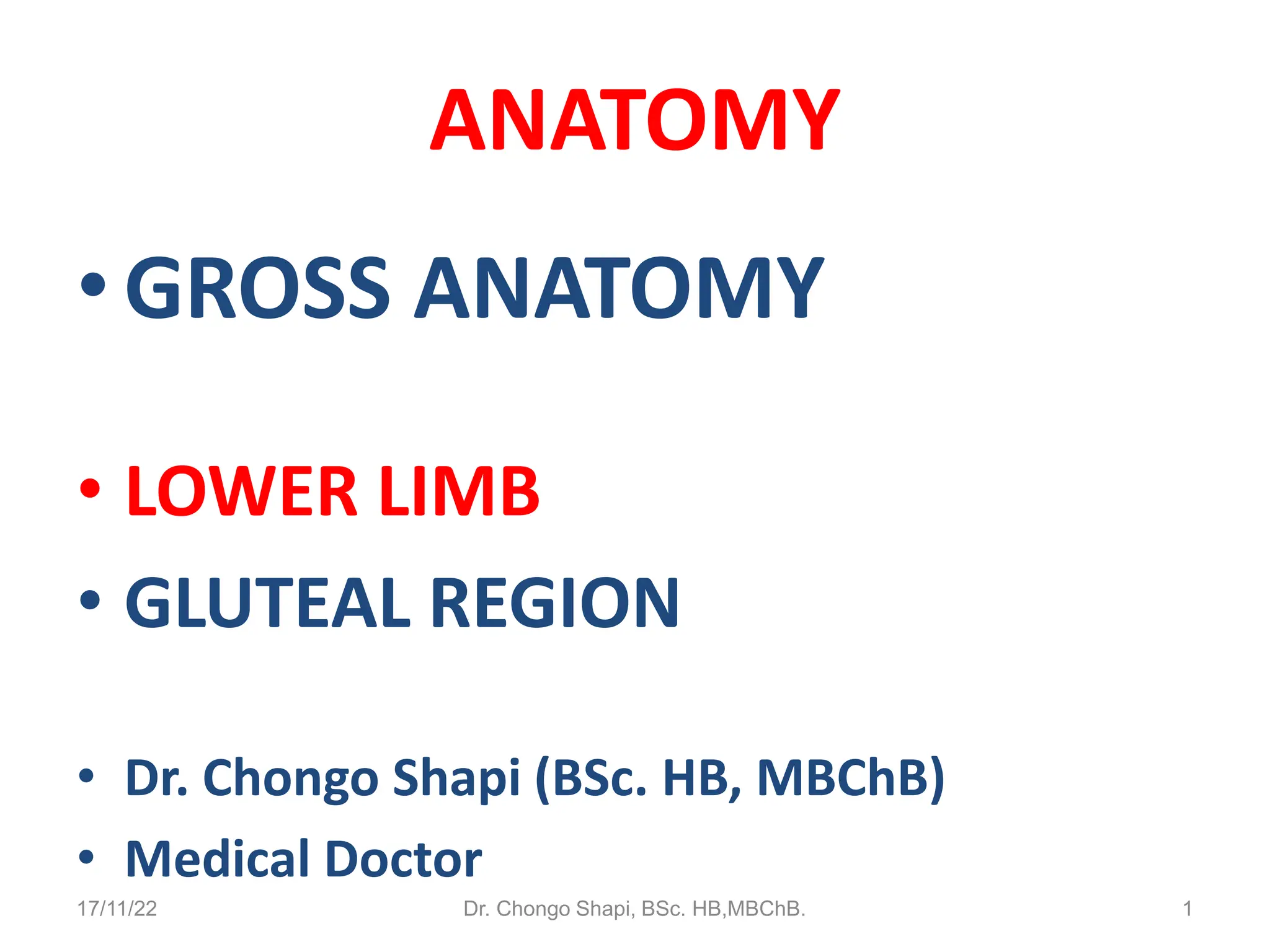 Gluteal Cleft Anatomy 93 - jq7qw8s