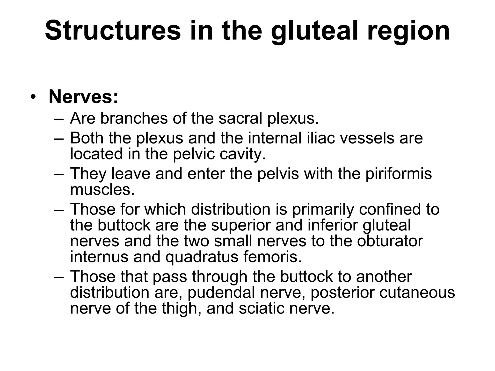 Gluteal Cleft Anatomy 93 - bw2m5jm