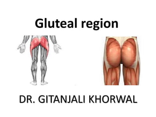 Gluteal region
DR. GITANJALI KHORWAL
 