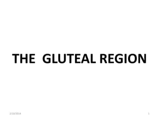 THE GLUTEAL REGION

2/10/2014

1

 
