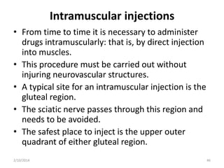 Intramuscular injections
• From time to time it is necessary to administer
drugs intramuscularly: that is, by direct injection
into muscles.
• This procedure must be carried out without
injuring neurovascular structures.
• A typical site for an intramuscular injection is the
gluteal region.
• The sciatic nerve passes through this region and
needs to be avoided.
• The safest place to inject is the upper outer
quadrant of either gluteal region.
2/10/2014

46

 
