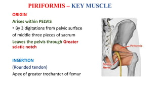 Peripheric Rim Location GLUTEAL REGION DR MONIKA SHARMA.pptx