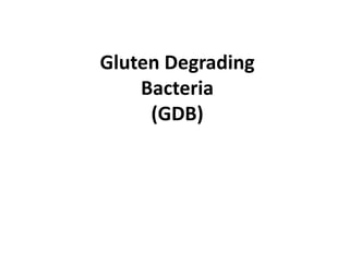 Gluten Degrading
Bacteria
(GDB)
 