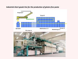 Industrial short goods line for the production of gluten-free pasta
 