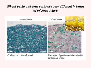 Wheat pasta and corn pasta are very different in terms
of microstructure
 
