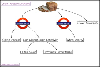 Gluten related conditions
www.healthcons.com
Gluten Sensitivity
Celiac Disease Non-Celiac Gluten Sensitivity Wheat Allergy...