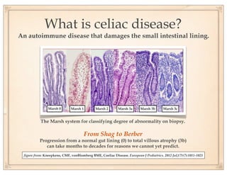 What is celiac disease?
An autoimmune disease that damages the small intestinal lining.




                Marsh 0       Marsh 1        Marsh 2       Marsh 3a      Marsh 3b      Marsh 3c


           The Marsh system for classifying degree of abnormality on biopsy.

                                        From Shag to Berber
          Progression from a normal gut lining (0) to total villous atrophy (3b)
             can take months to decades for reasons we cannot yet predict.
 figure from: Kneepkens, CMF, vonBlomberg BME, Coeliac Disease. European J Pediatrics. 2012 Jul;171(7):1011-1021
 