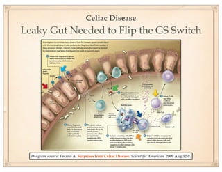 Celiac Disease
Leaky Gut Needed to Flip the GS Switch




  Diagram source: Fasano A. Surprises from Celiac Disease. Scientific American. 2009 Aug:32-9.
 