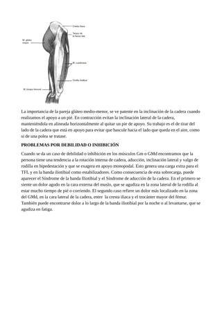 La importancia de la pareja glúteo medio-menor, se ve patente en la inclinación de la cadera cuando
realizamos el apoyo a un pié. En contracción evitan la inclinación lateral de la cadera,
manteniéndola en alineada horizontalmente al quitar un pie de apoyo. Su trabajo es el de tirar del
lado de la cadera que está en apoyo para evitar que bascule hacia el lado que queda en el aire, como
si de una polea se tratase.
PROBLEMAS POR DEBILIDAD O INHIBICIÓN
Cuando se da un caso de debilidad o inhibición en los músculos Gm o GMd encontramos que la
persona tiene una tendencia a la rotación interna de cadera, aducción, inclinación lateral y valgo de
rodilla en bipedestación y que se exagera en apoyo monopodal. Esto genera una carga extra para el
TFL y en la banda iliotibial como estabilizadores. Como consecuencia de esta sobrecarga, puede
aparecer el Síndrome de la banda Iliotibial y el Síndrome de aducción de la cadera. En el primero se
siente un dolor agudo en la cara externa del muslo, que se agudiza en la zona lateral de la rodilla al
estar mucho tiempo de pié o corriendo. El segundo caso refiere un dolor más localizado en la zona
del GMd, en la cara lateral de la cadera, entre la cresta iliaca y el trocánter mayor del fémur.
También puede encontrarse dolor a lo largo de la banda iliotibial por la noche o al levantarse, que se
agudiza en fatiga.
 