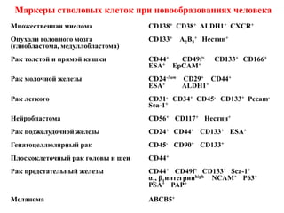 Лейкемічні стовбурові клітини при гострих мієлоїдних лейкозах