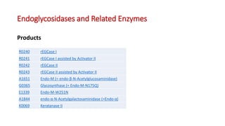 Endoglycosidases and Related Enzymes
Products
R0240 rEGCase I
R0241 rEGCase I assisted by Activator II
R0242 rEGCase II
R0243 rEGCase II assisted by Activator II
A1651 Endo-M (= endo-β-N-Acetylglucosaminidase)
G0365 Glycosynthase (= Endo-M-N175Q)
E1339 Endo-M-W251N
A1844 endo-α-N-Acetylgalactosaminidase (=Endo-α)
K0069 Keratanase II
 