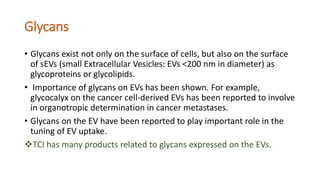 Glycans
• Glycans exist not only on the surface of cells, but also on the surface
of sEVs (small Extracellular Vesicles: EVs <200 nm in diameter) as
glycoproteins or glycolipids.
• Importance of glycans on EVs has been shown. For example,
glycocalyx on the cancer cell-derived EVs has been reported to involve
in organotropic determination in cancer metastases.
• Glycans on the EV have been reported to play important role in the
tuning of EV uptake.
TCI has many products related to glycans expressed on the EVs.
 