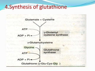 Glycine