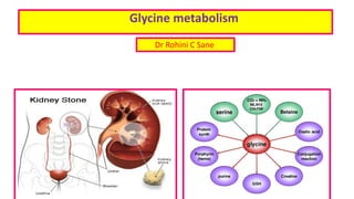 Glycine metabolism
Dr Rohini C Sane
 