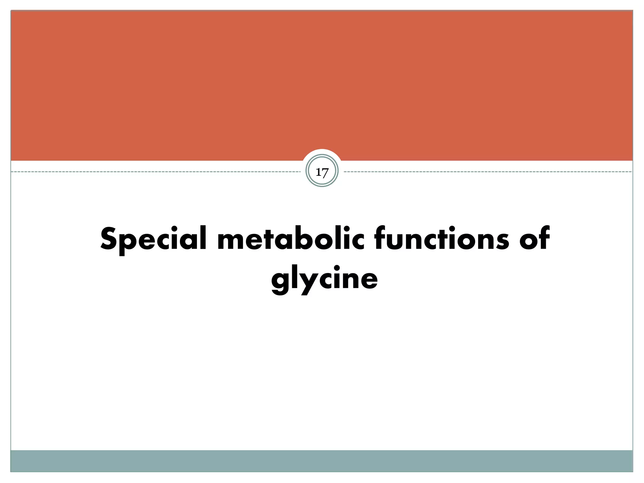 Glycine metabolism and specialised products of amino acids | PPTX
