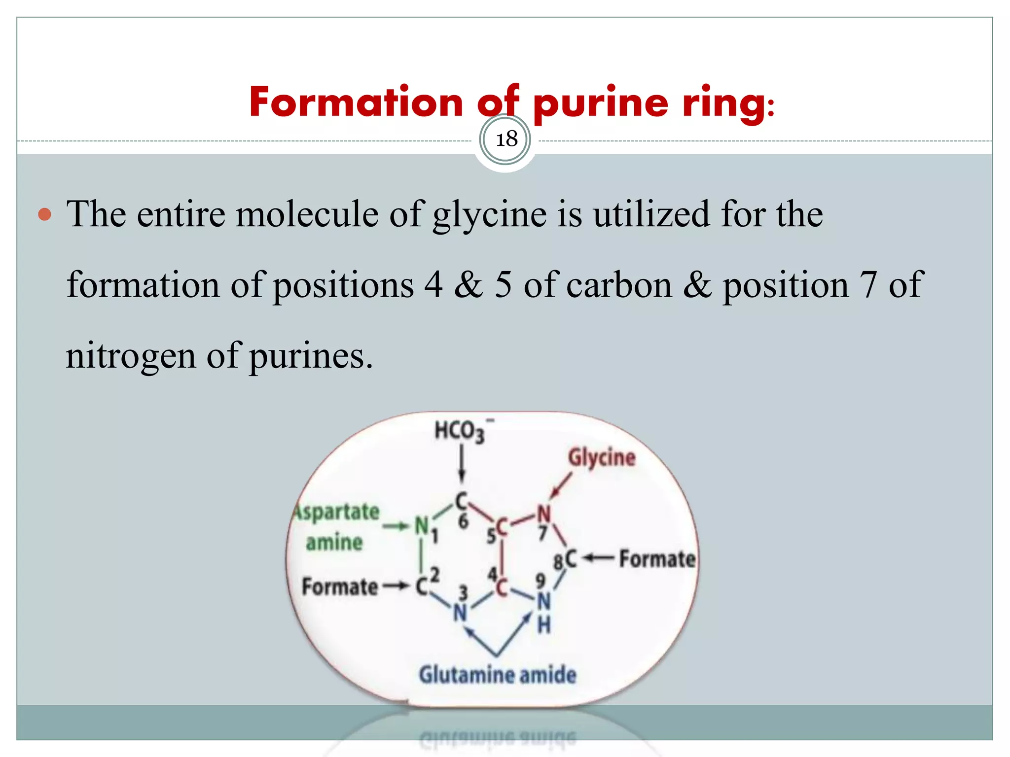 Glycine metabolism and specialised products of amino acids | PPTX