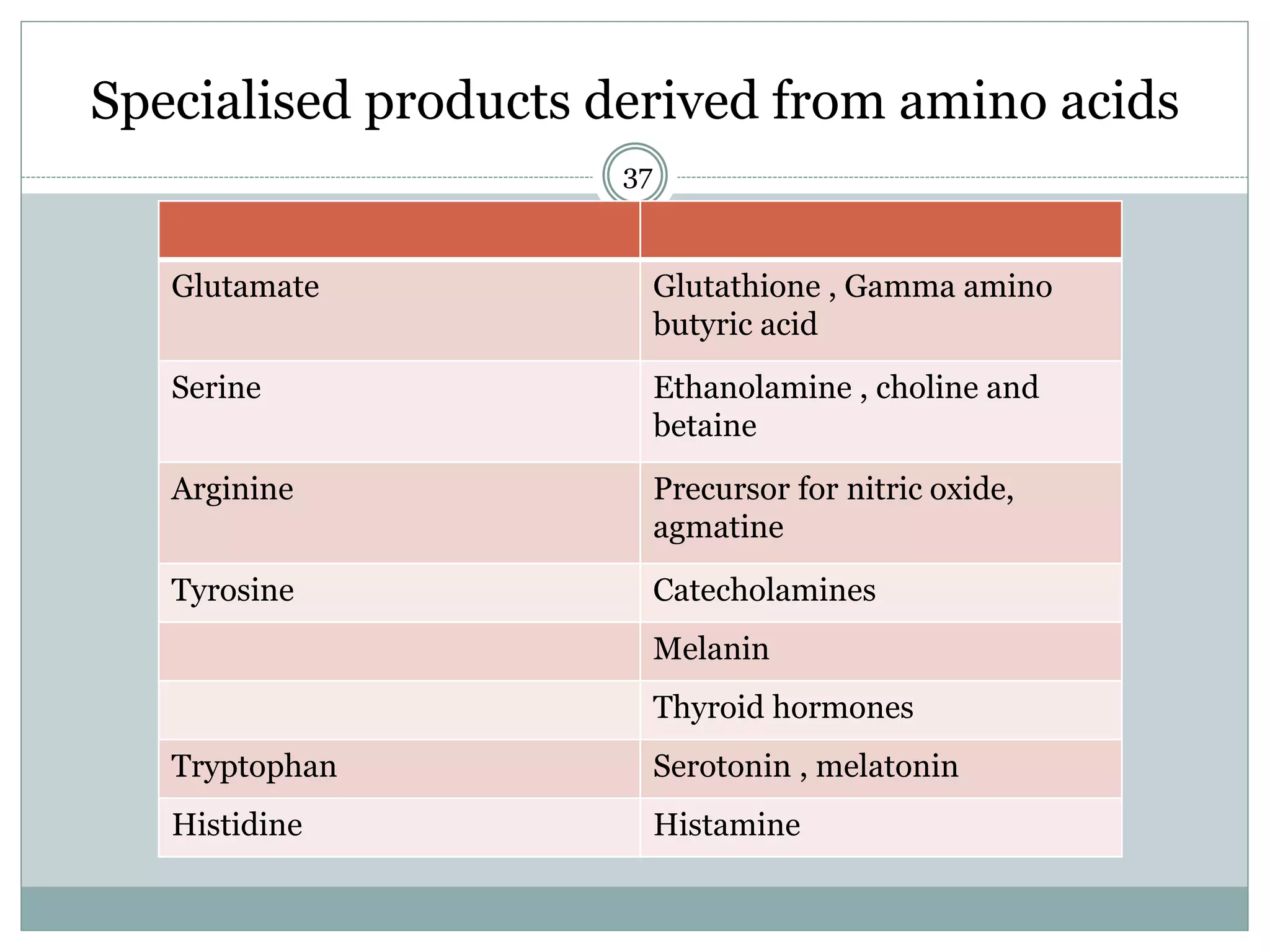 Glycine metabolism and specialised products of amino acids | PPTX