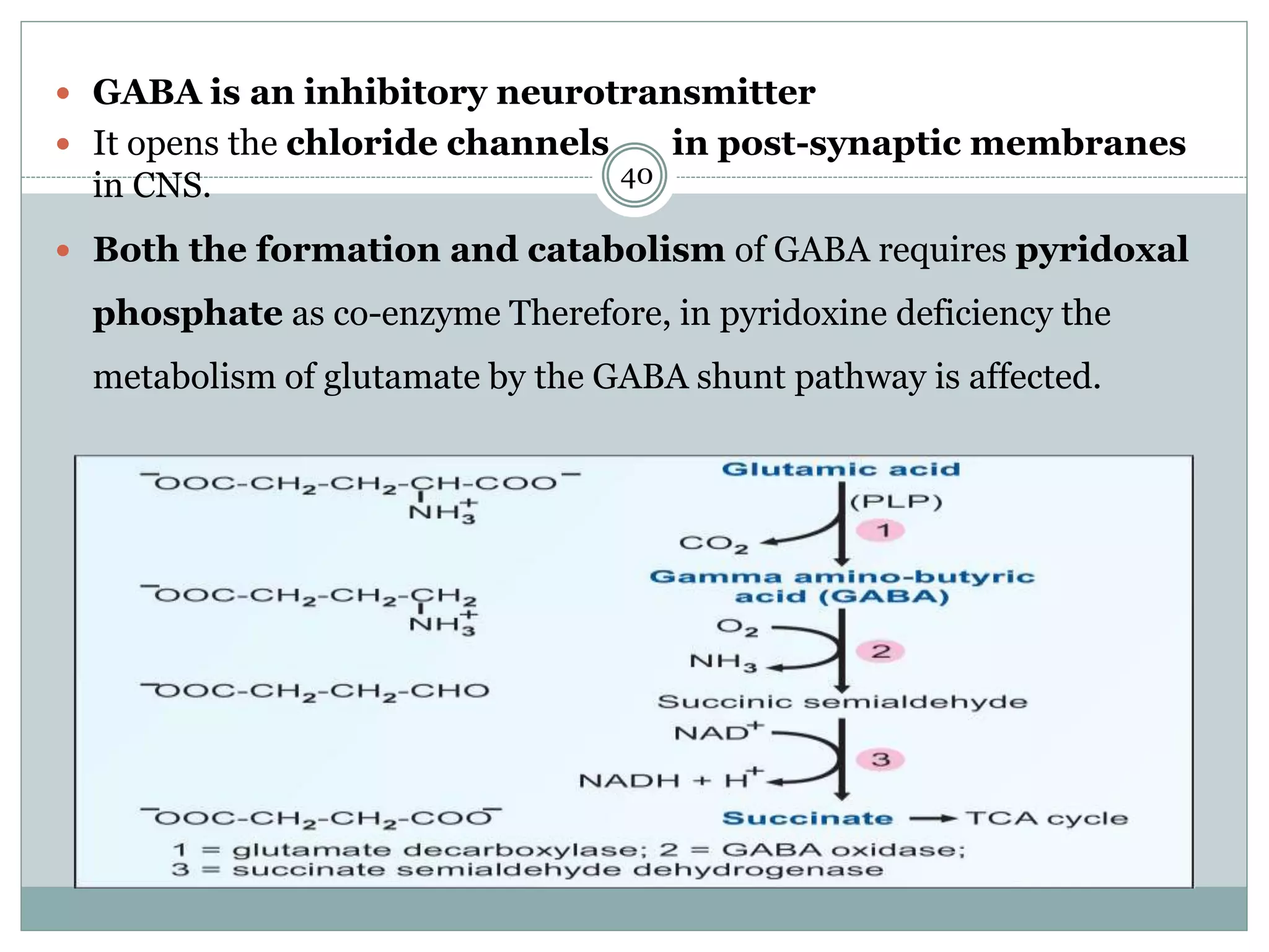 Glycine metabolism and specialised products of amino acids | PPTX