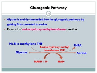 Glycine metabolism and specialised products of amino acids | PPTX