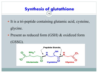 glutathione peptide bonds Glutathione main image 1