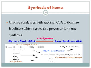 Glycine metabolism and specialised products of amino acids | PPTX