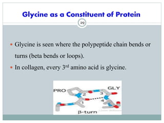 Glycine metabolism and specialised products of amino acids | PPTX