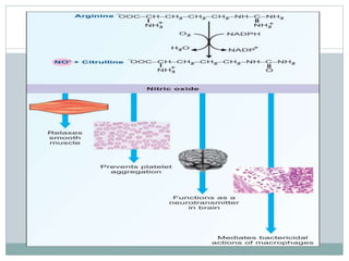 Glycine metabolism and specialised products of amino acids | PPTX