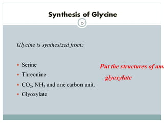 Glycine metabolism and specialised products of amino acids | PPTX