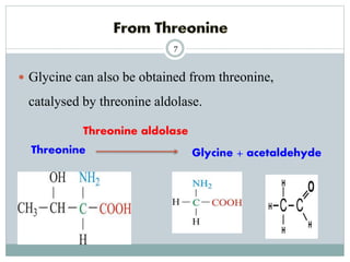 Glycine metabolism and specialised products of amino acids | PPTX