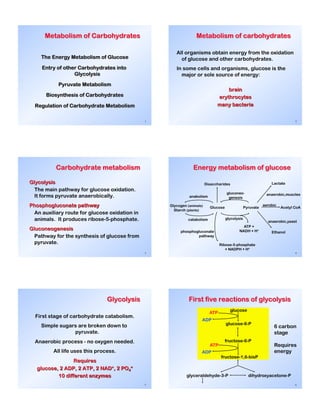 1!
Metabolism of Carbohydrates
The Energy Metabolism of Glucose
Entry of other Carbohydrates into
Glycolysis
Pyruvate Metabolism
Biosynthesis of Carbohydrates
Regulation of Carbohydrate Metabolism
2!
Metabolism of carbohydrates
3!
Carbohydrate metabolism
4!
Energy metabolism of glucose
Glycogen (animals)
Starch (plants)
Glucose Pyruvate Acetyl CoA
Lactate
Ethanol
Ribose-5-phosphate
+ NADPH + H+
Disaccharides
ATP +
NADH + H+
catabolism
anabolism
phosphogluconate
pathway
glycolysis
gluconeo-
genesis
aerobic
anaerobic,muscles
anaerobic,yeast
5!
Glycolysis
6!
First five reactions of glycolysis
glucose
glucose-6-P
fructose-6-P
fructose-1,6-bisP
glyceraldehyde-3-P dihydroxyacetone-P
ATP
ADP
ATP
ADP
6 carbon
stage
Requires
energy
 