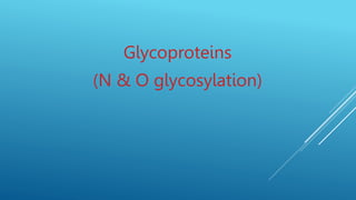 Glycoproteins
(N & O glycosylation)
 