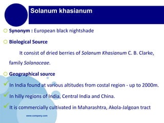 www.company.com
Solanum khasianum
o Synonym : European black nightshade
o Biological Source
It consist of dried berries of Solanum Khasianum C. B. Clarke,
family Solanaceae.
o Geographical source
In India found at various altitudes from costal region - up to 2000m.
In hilly regions of India, Central India and China.
It is commercially cultivated in Maharashtra, Akola-Jalgoan tract
 