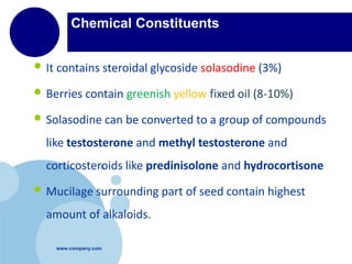www.company.com
Chemical Constituents
• It contains steroidal glycoside solasodine (3%)
• Berries contain greenish yellow fixed oil (8-10%)
• Solasodine can be converted to a group of compounds
like testosterone and methyl testosterone and
corticosteroids like predinisolone and hydrocortisone
• Mucilage surrounding part of seed contain highest
amount of alkaloids.
 