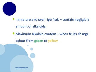 www.company.com
•Immature and over ripe fruit – contain negligible
amount of alkaloids.
•Maximum alkaloid content – when fruits change
colour from green to yellow.
 