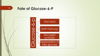 Fate of Glucose-6-P
14
Glucose-6-p
Glycolysis
HMP Pathway
Glycogen
synthesis
Degradation to
free glucose
 