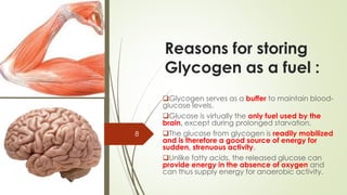 Reasons for storing
Glycogen as a fuel :
❑Glycogen serves as a buffer to maintain blood-
glucose levels.
❑Glucose is virtually the only fuel used by the
brain, except during prolonged starvation.
❑The glucose from glycogen is readily mobilized
and is therefore a good source of energy for
sudden, strenuous activity.
❑Unlike fatty acids, the released glucose can
provide energy in the absence of oxygen and
can thus supply energy for anaerobic activity.
8
 